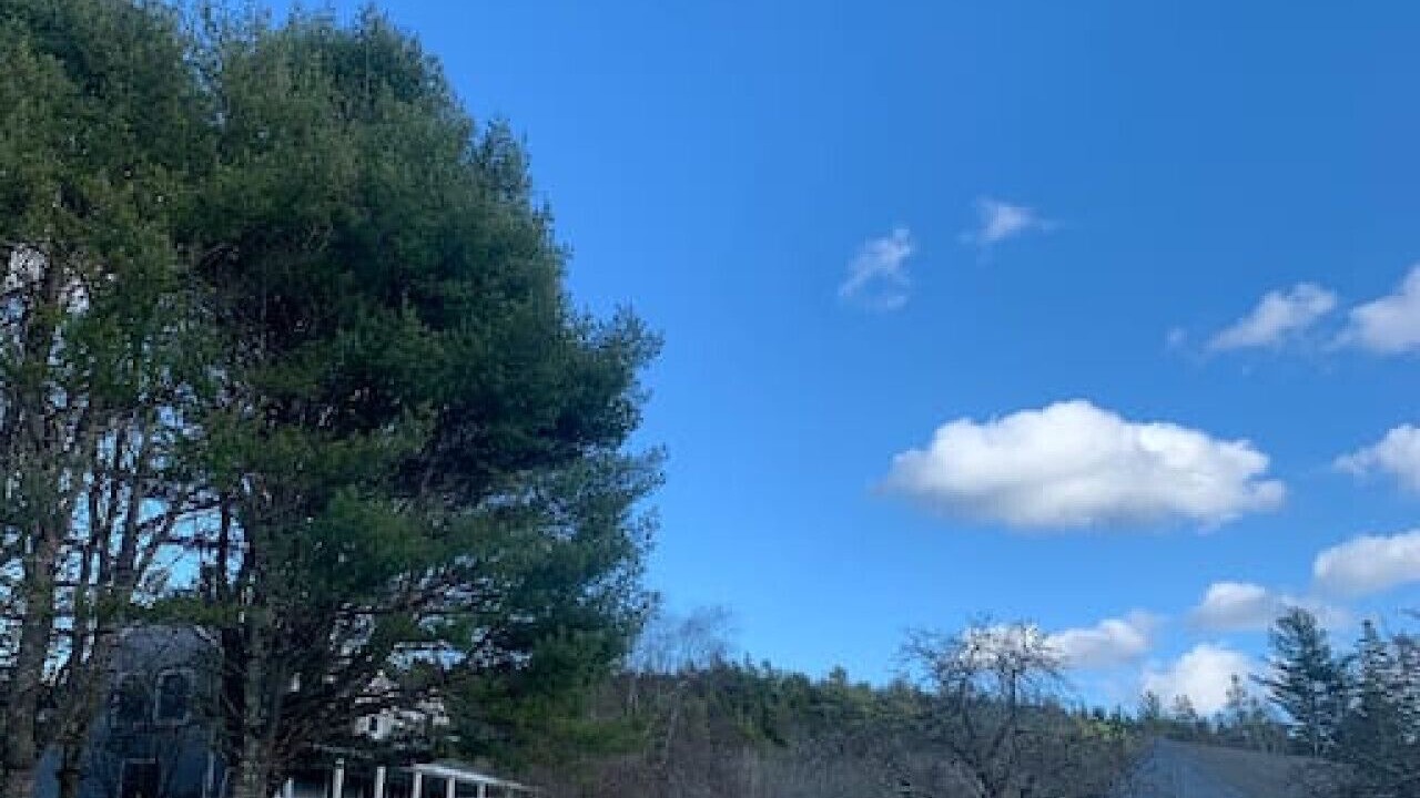 Photo of Others in Mount Desert