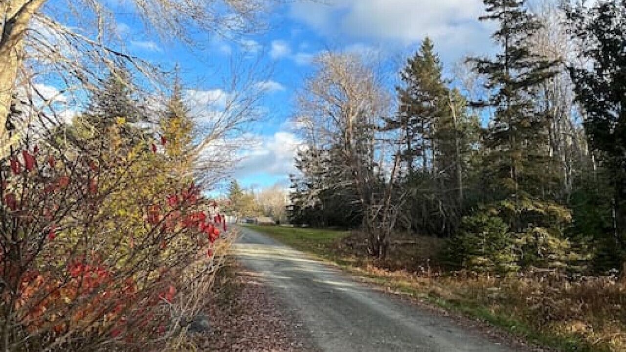Photo of Others in Mount Desert