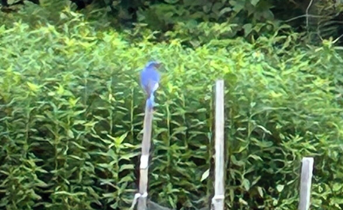 Photo of Others in Guilford