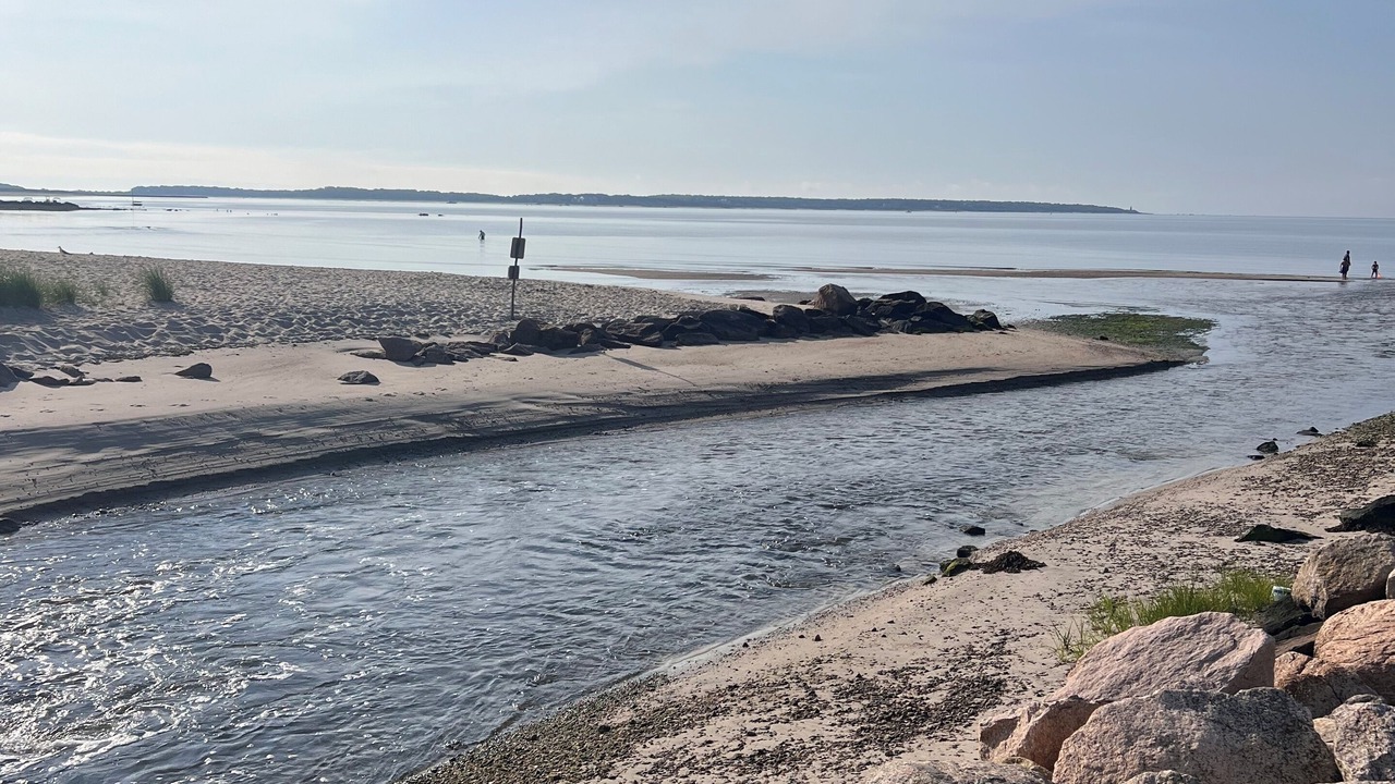 Photo of Others in Hyannis