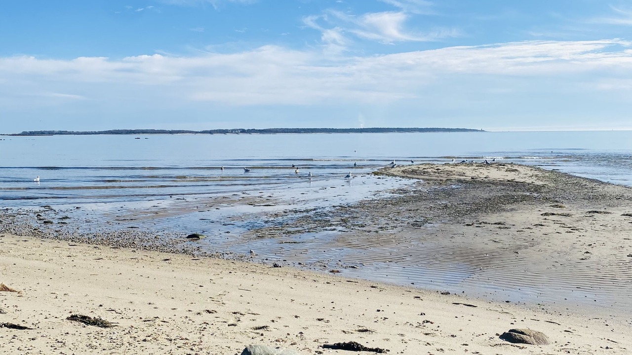 Photo of Others in Hyannis