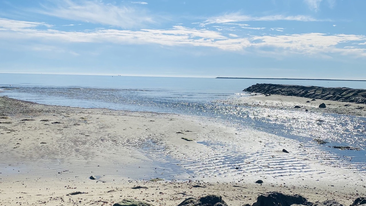 Photo of Others in Hyannis