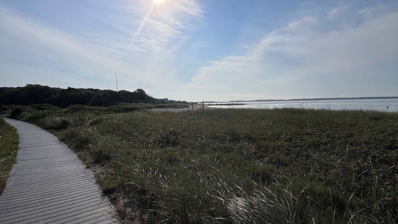Photo of Others in Hyannis