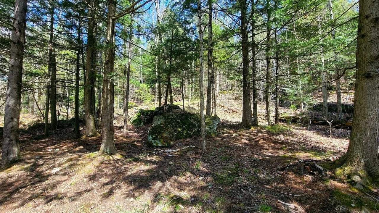 Photo of Others in Warren
