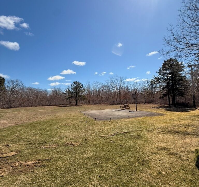 Photo of Others in West Tisbury