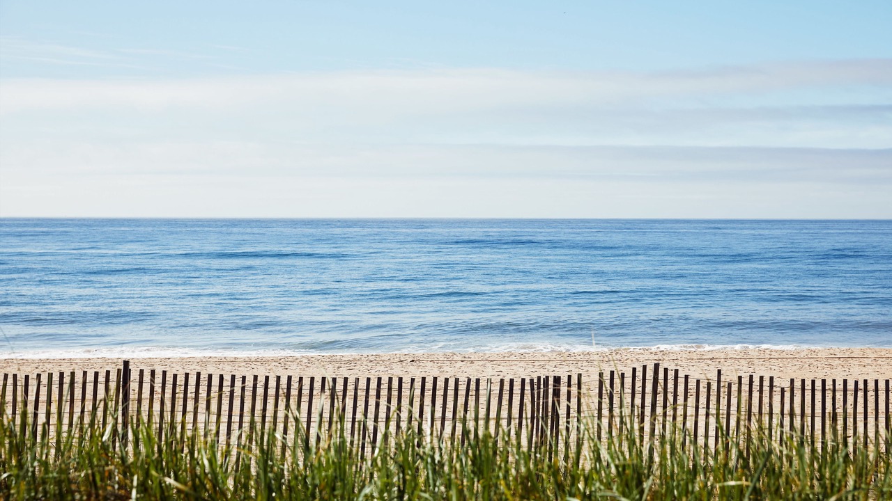 Photo of Others in Montauk