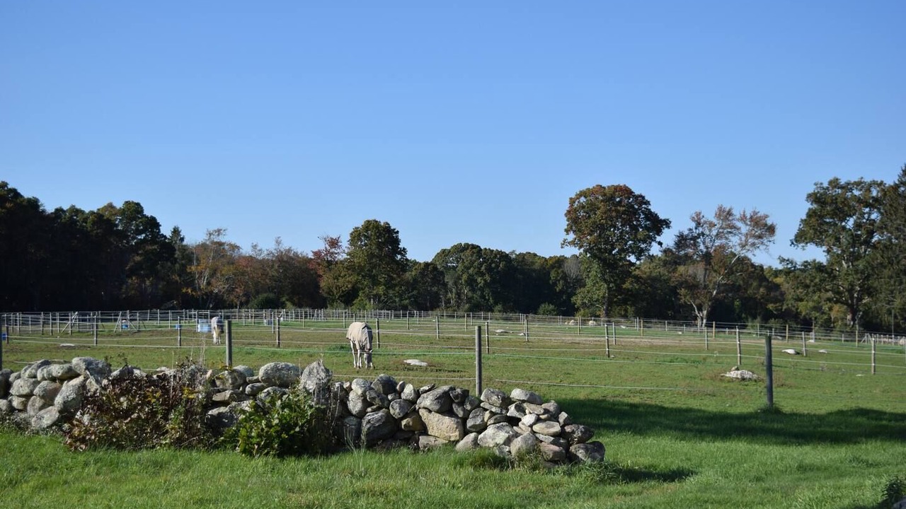 Photo of Others in Stonington