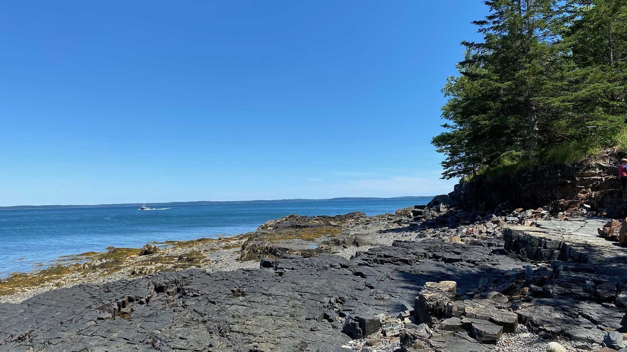 Photo of Others in Bar Harbor