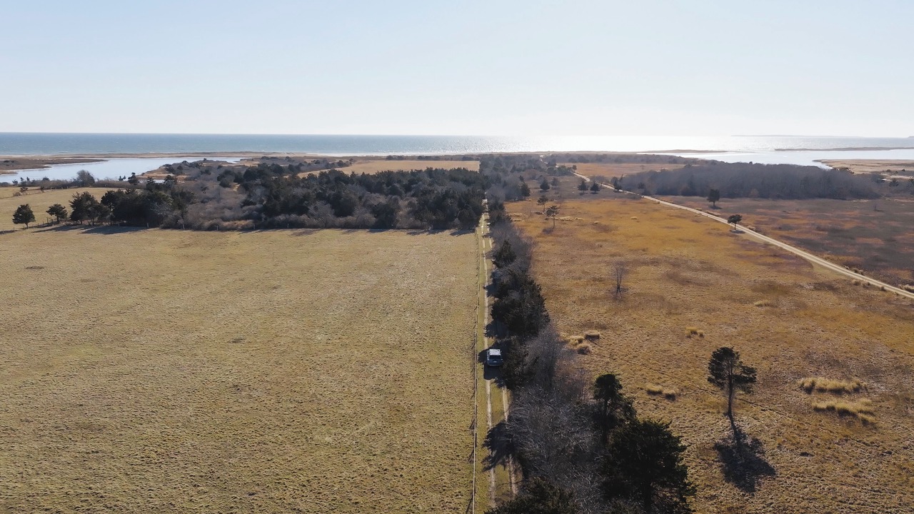 Photo of Others in Chilmark