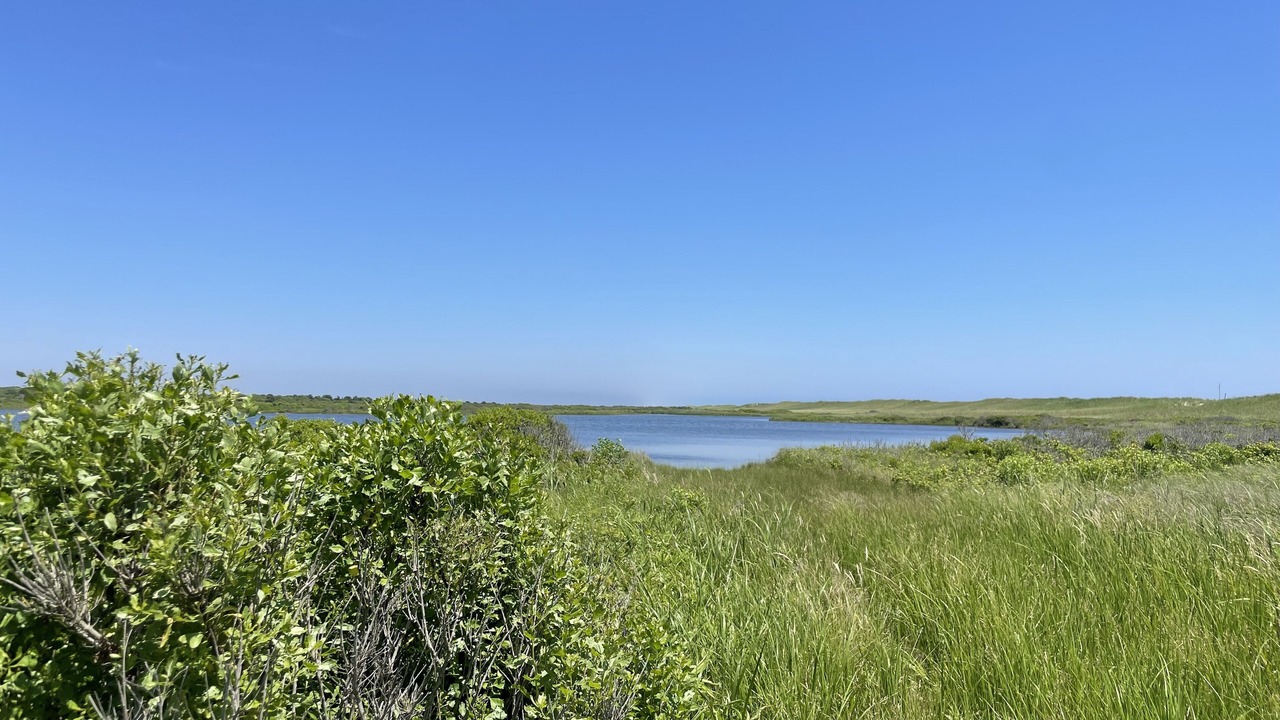 Photo of Others in Chilmark