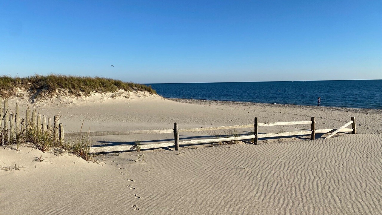 Photo of Others in South Yarmouth