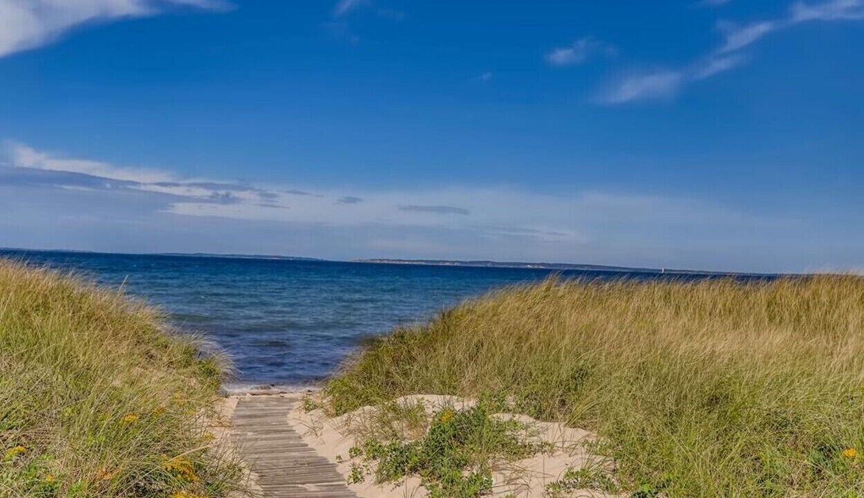 Photo of Others in Chilmark