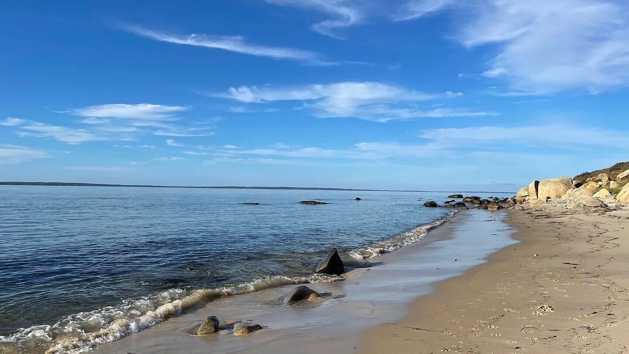 Photo of Others in Chilmark
