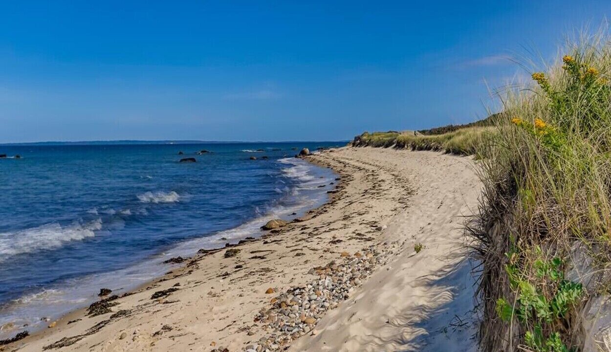 Photo of Others in Chilmark