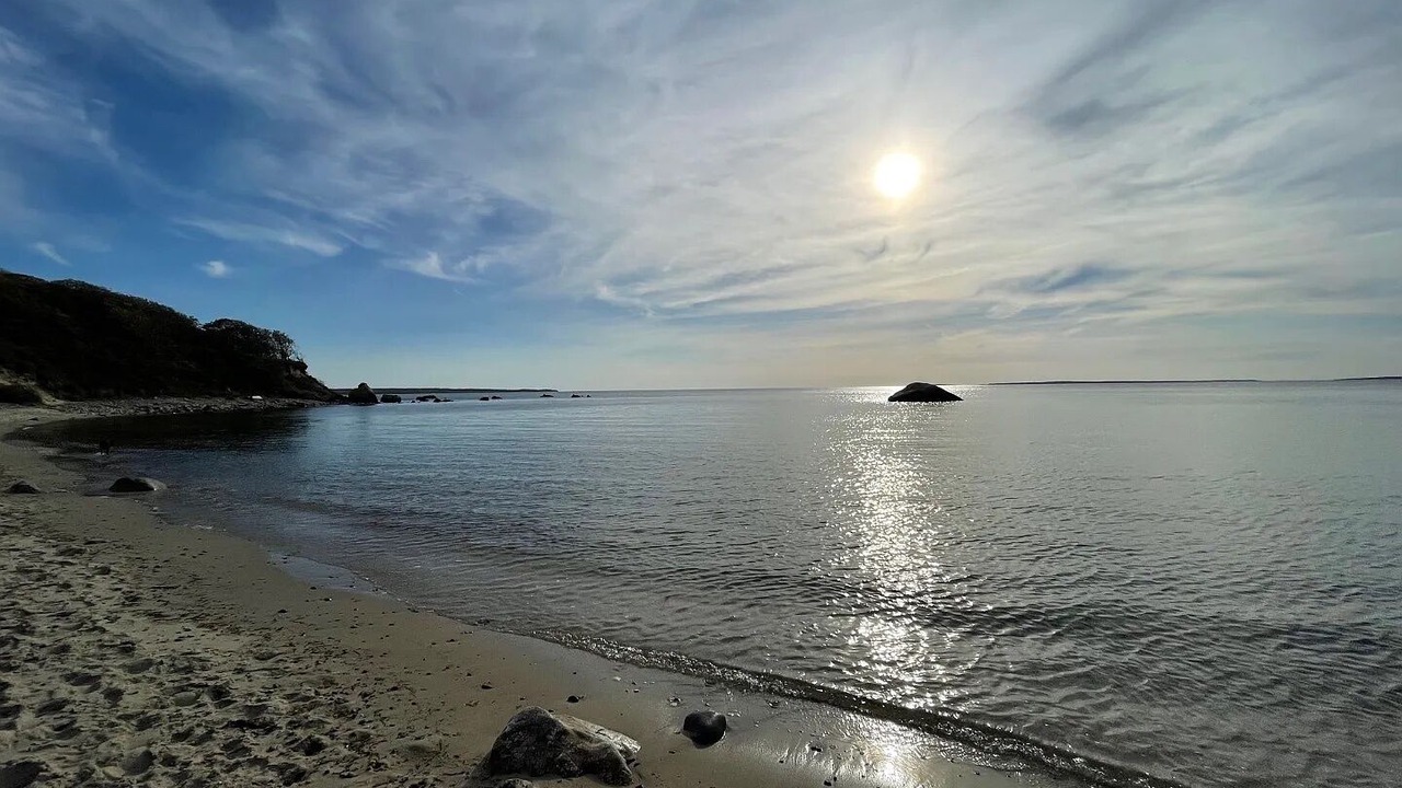 Photo of Others in Chilmark