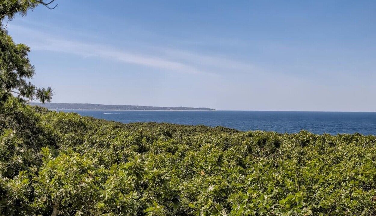 Photo of Others in Chilmark