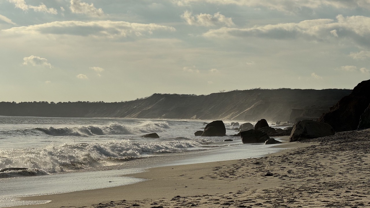 Photo of Others in Chilmark