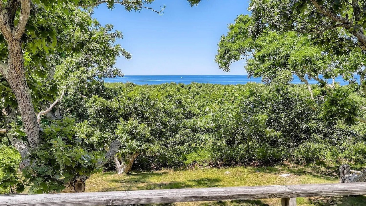 Photo of Others in Chilmark