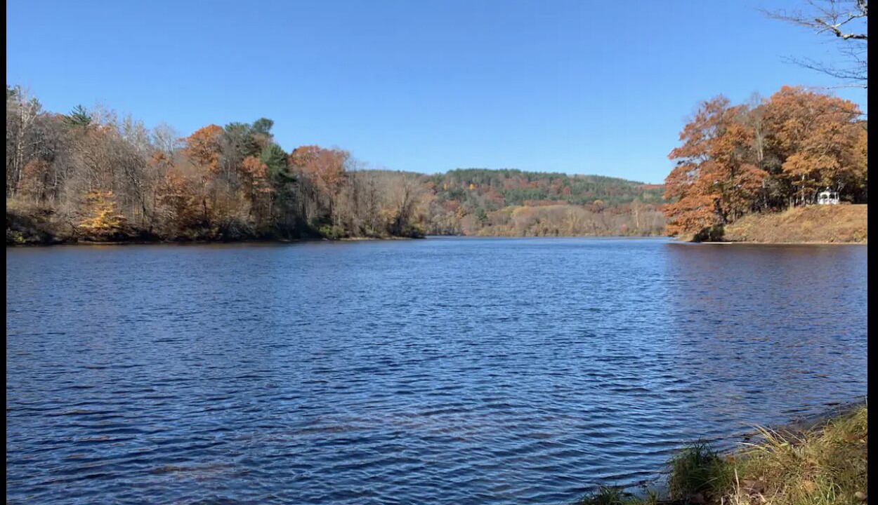 Photo of Others in Westmoreland