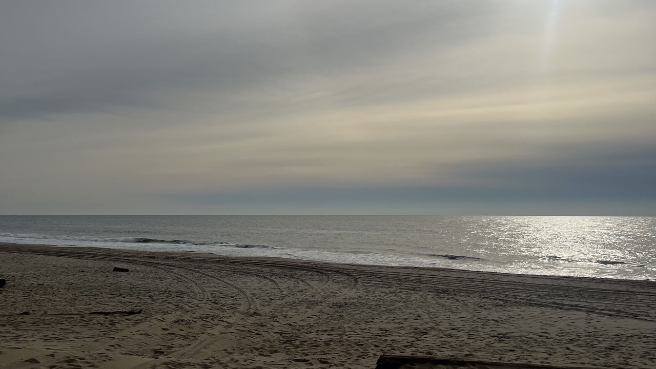 Photo of Others in East Hampton North