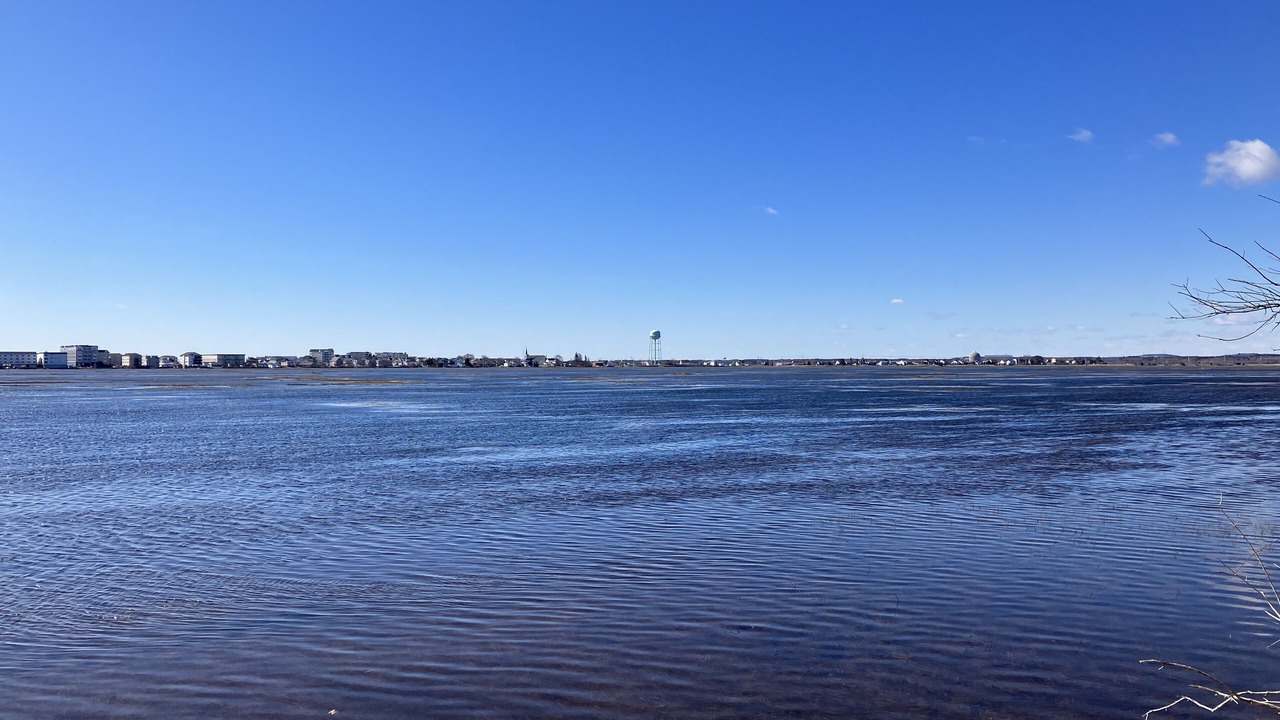 Photo of Others in Hampton