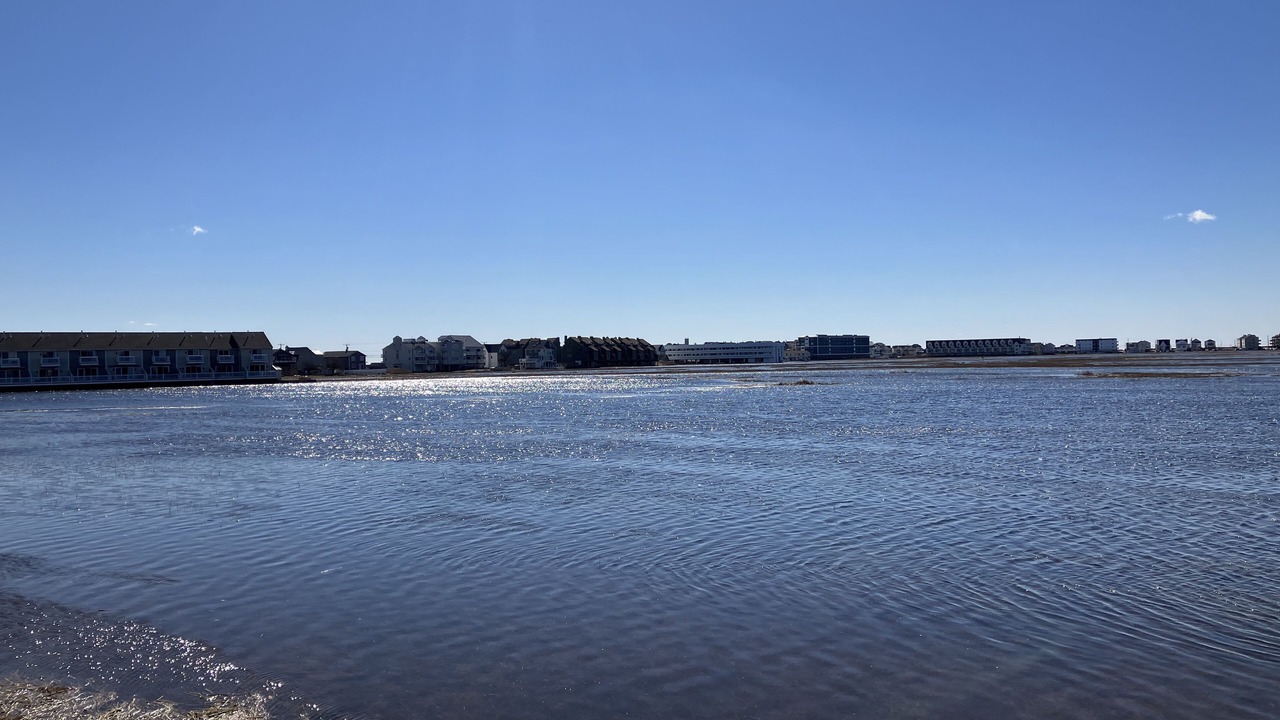 Photo of Others in Hampton