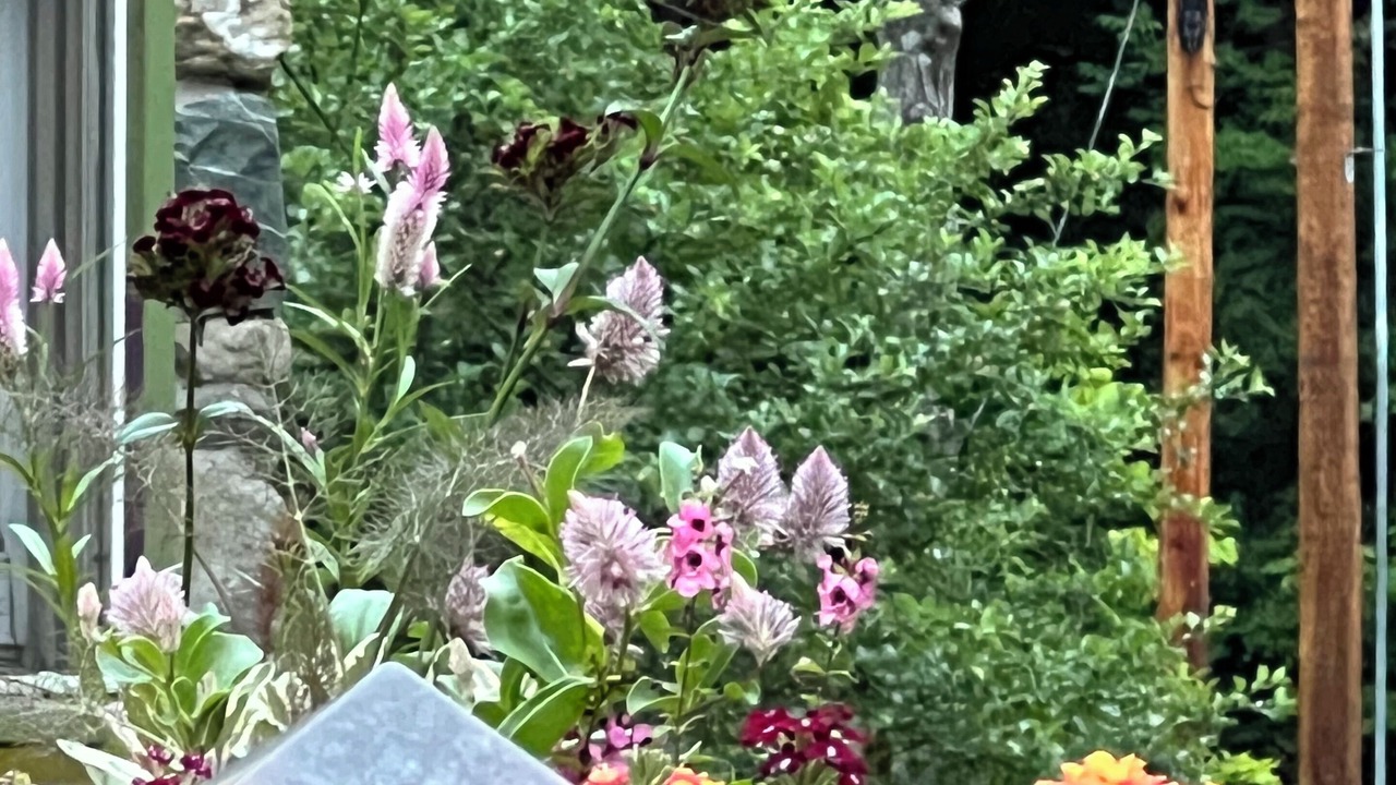 Photo of Outdoor in Glendale