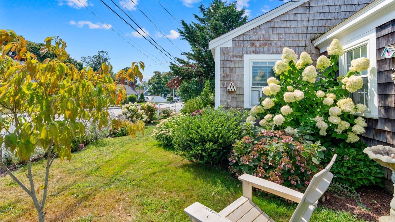 Photo of Others in Hyannis