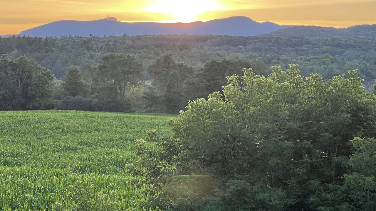 Photo of Others in Stowe