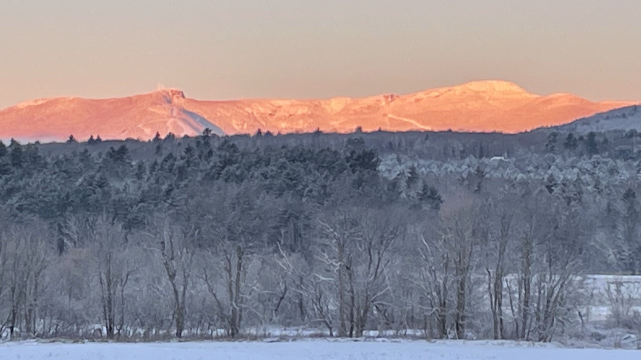 Photo of Others in Stowe