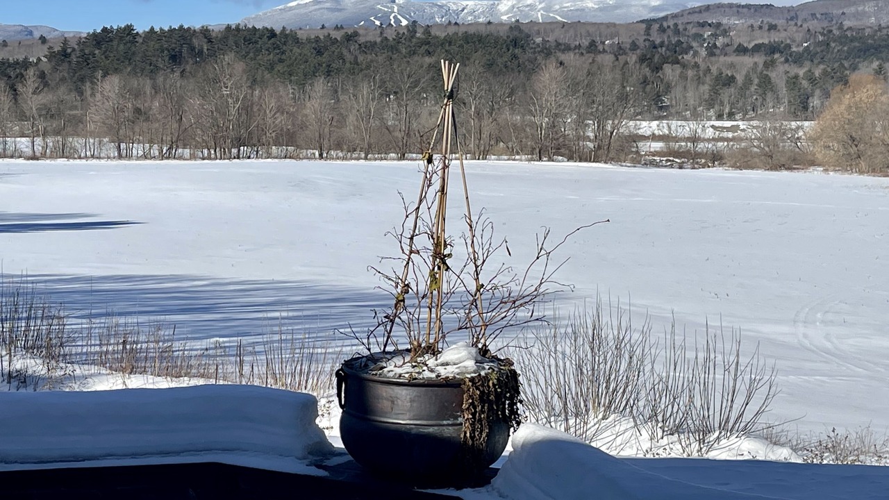Photo of Outdoor in Stowe