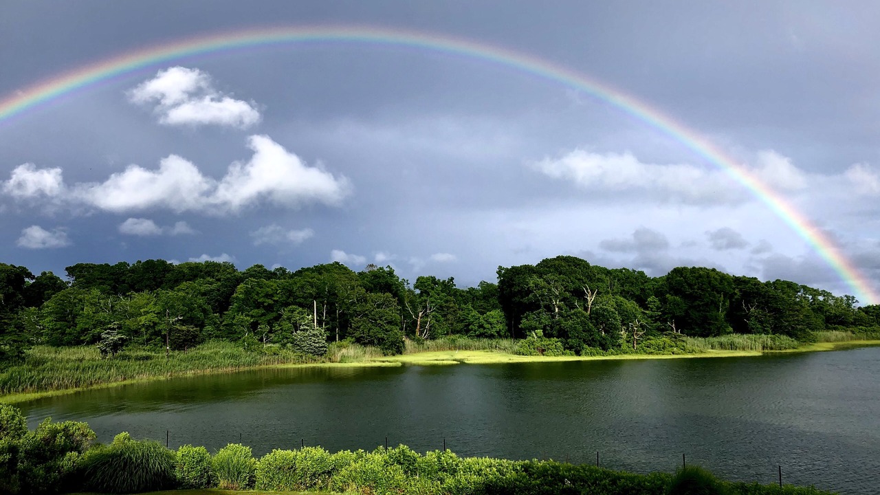 Photo of Outdoor in Shelter Island