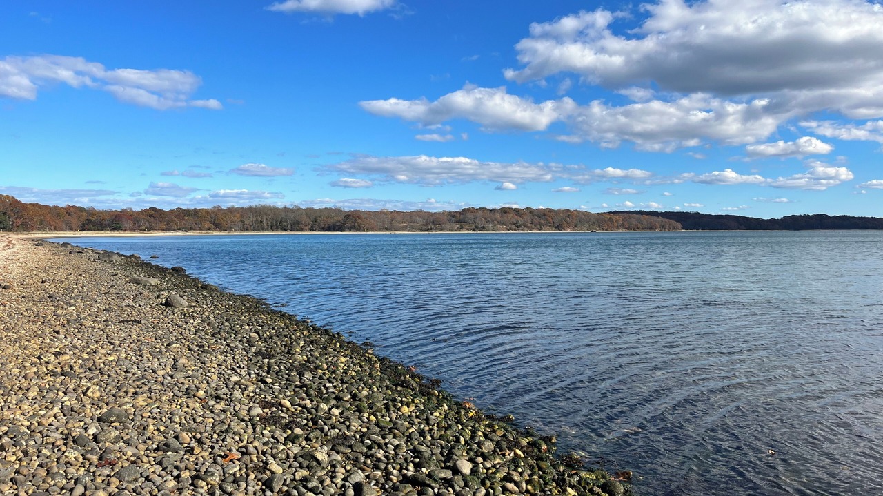 Photo of Others in Shelter Island