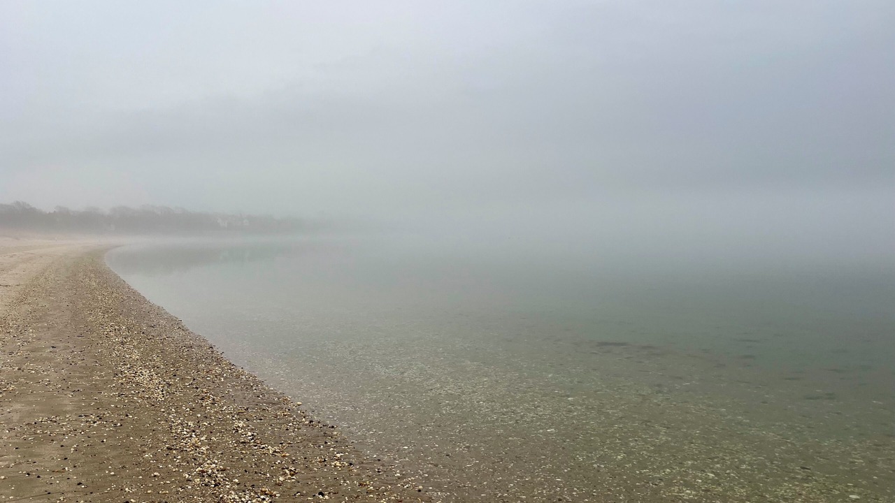 Photo of Others in Shelter Island