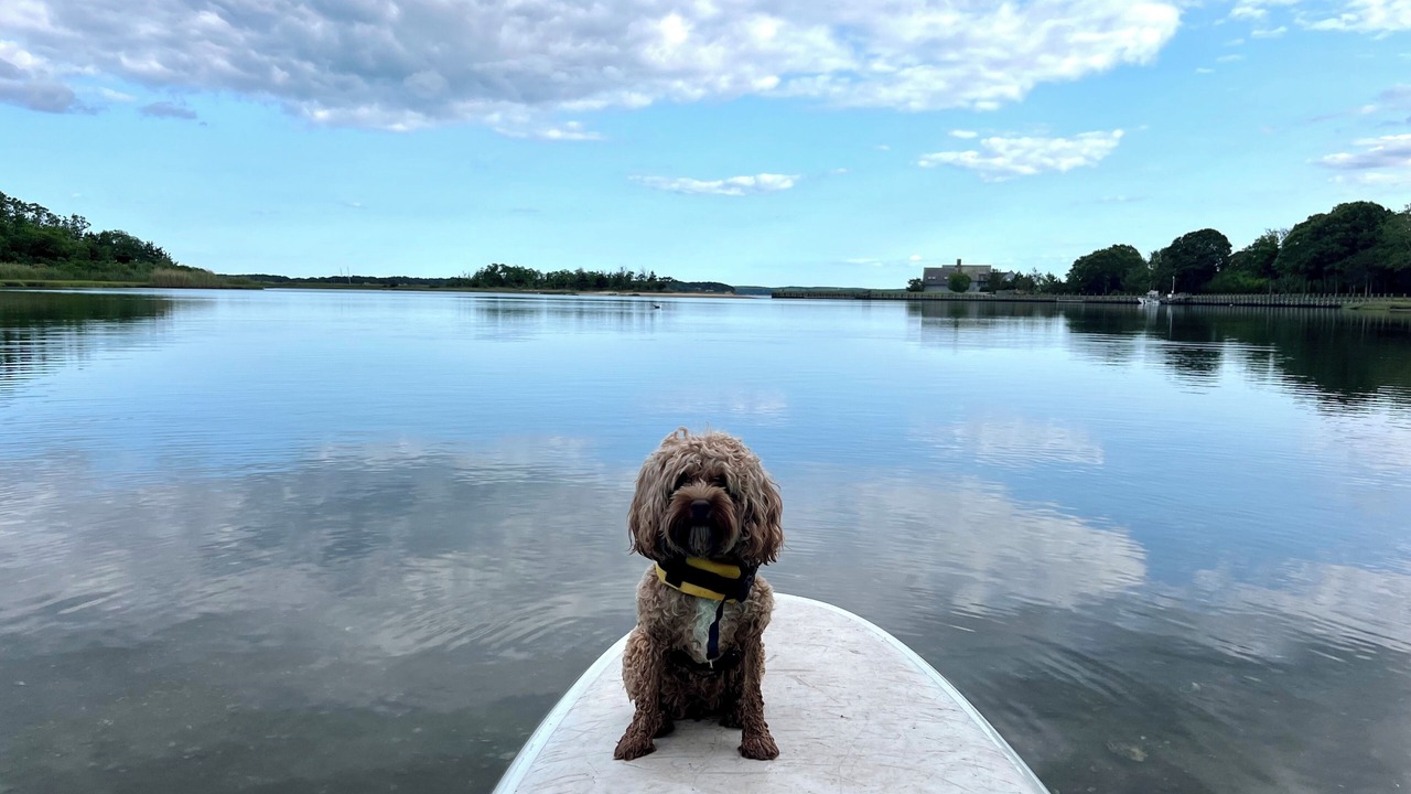 Photo of Others in Shelter Island