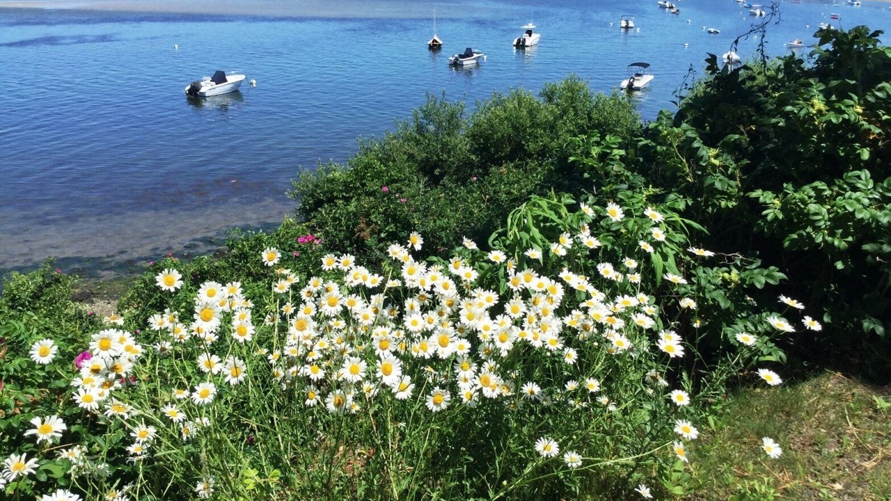 Photo of Outdoor in North Chatham
