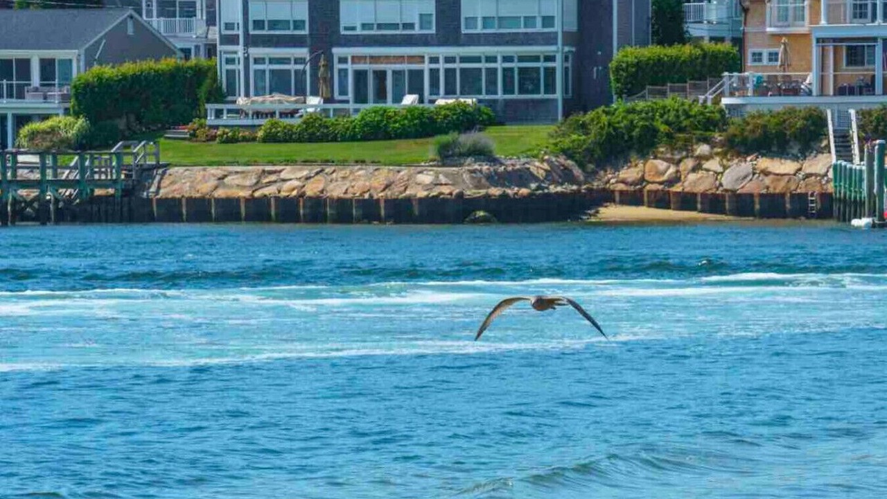 Photo of Others in Hyannis