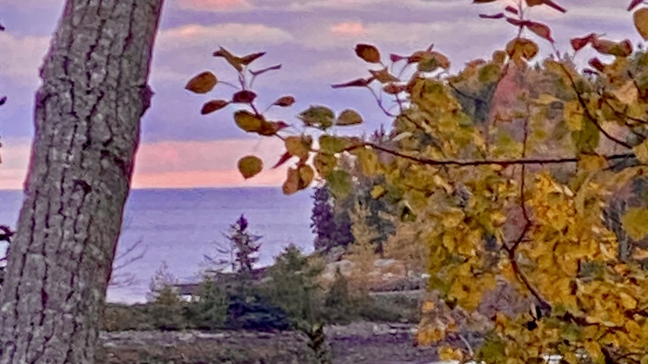 Photo of Others in Bar Harbor