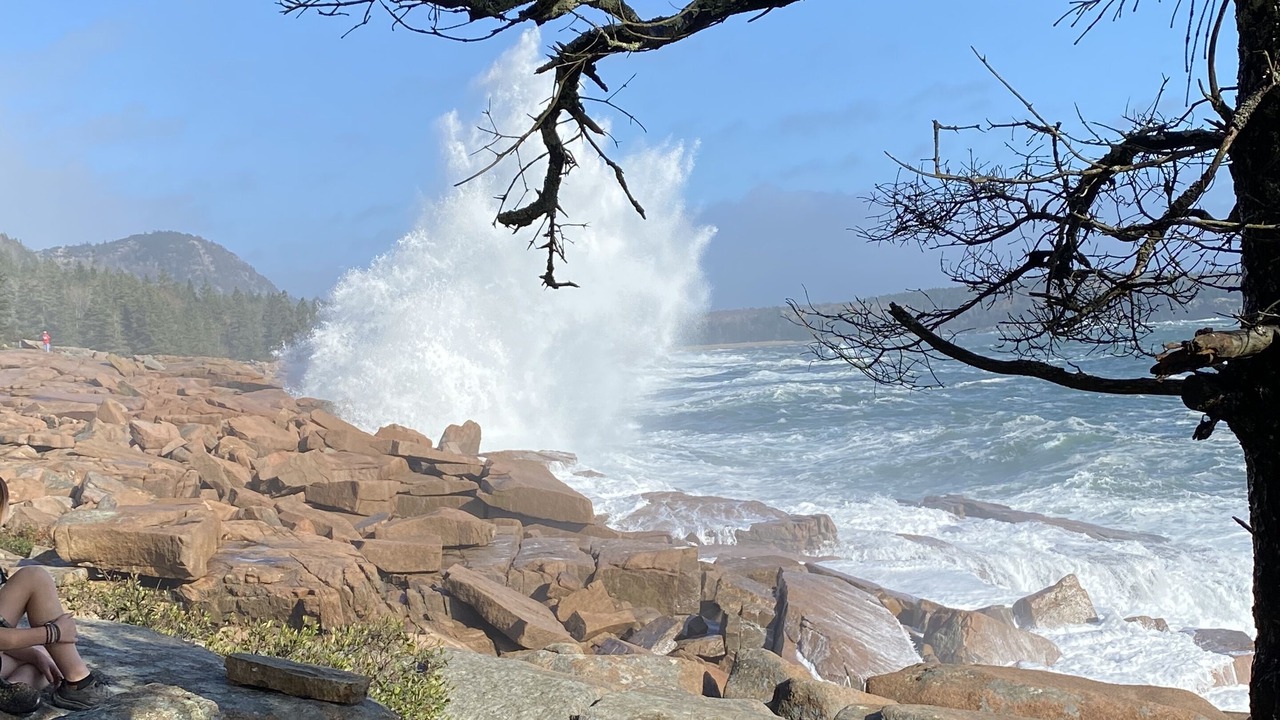 Photo of Others in Bar Harbor