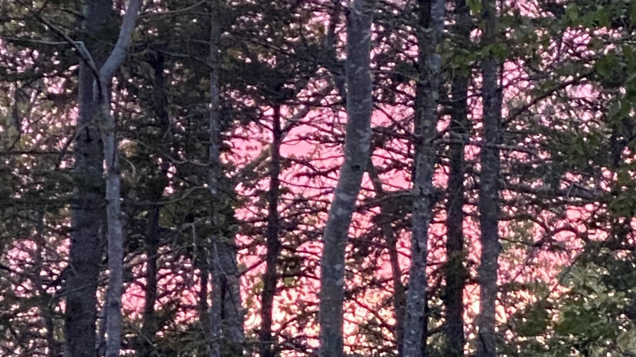 Photo of Others in Bar Harbor