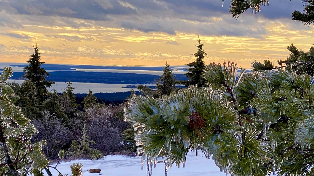 Photo of Outdoor in Bar Harbor