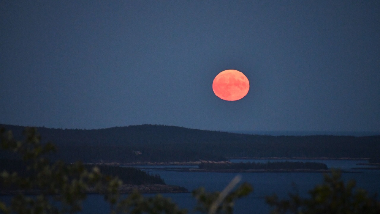 Photo of Others in Bar Harbor