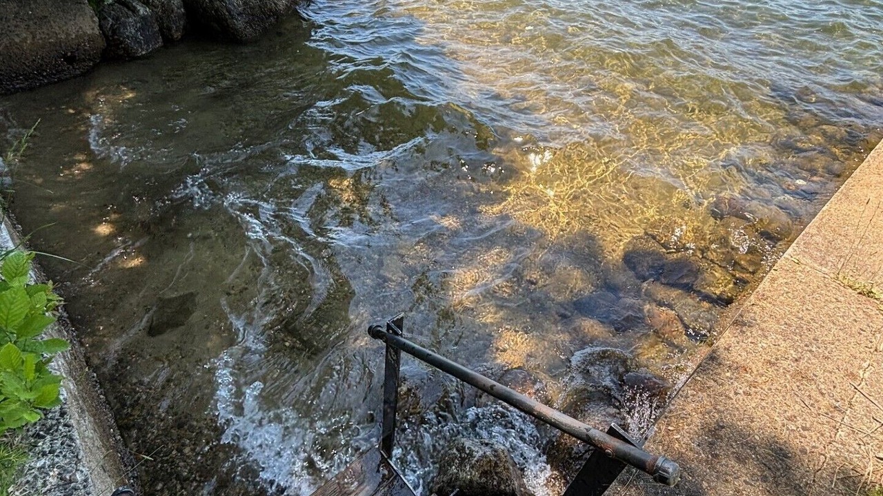 Photo of Outdoor in Laconia