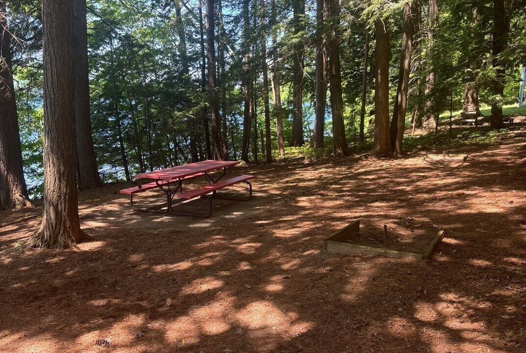 Photo of Others in Laconia