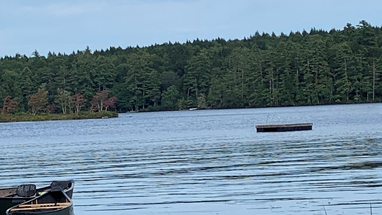 Photo of Others in Lovell