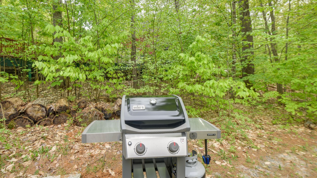Photo of Outdoor in Tuftonboro