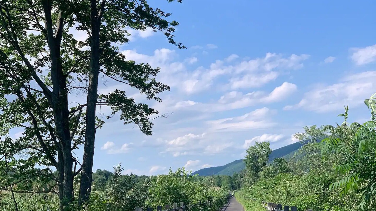 Photo of Outdoor in Town of Copake