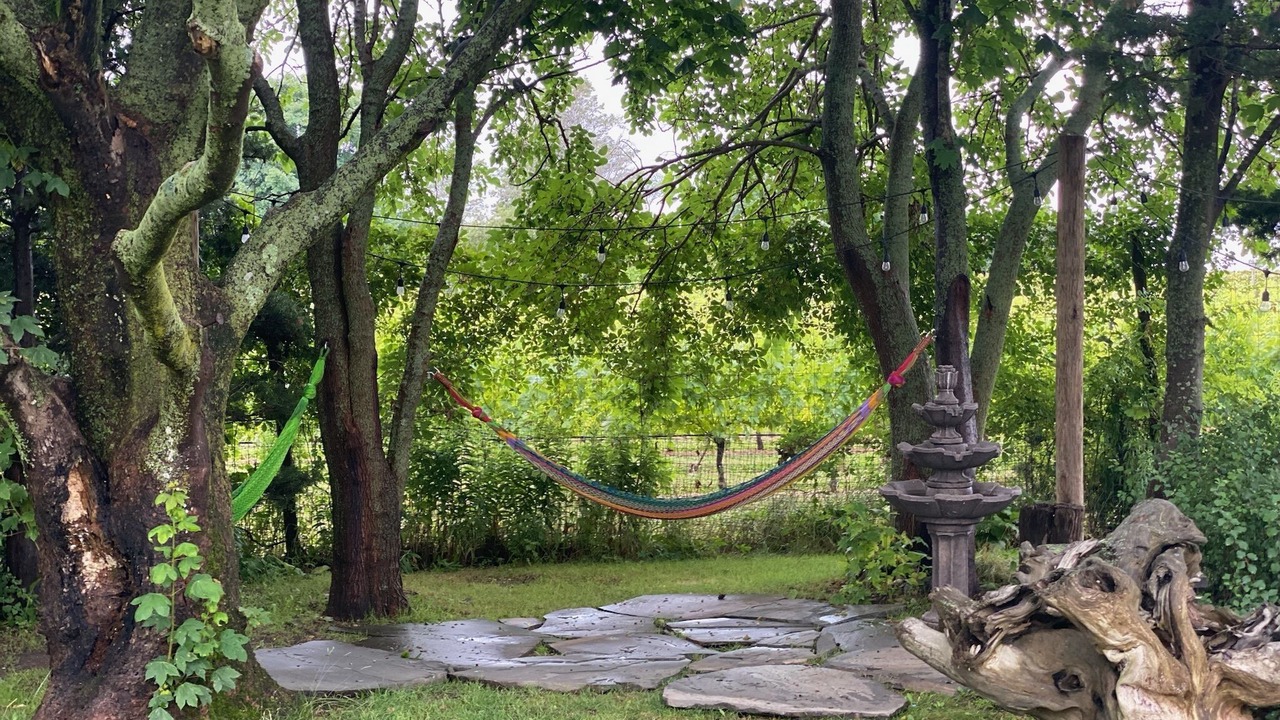 Photo of Outdoor in Cutchogue