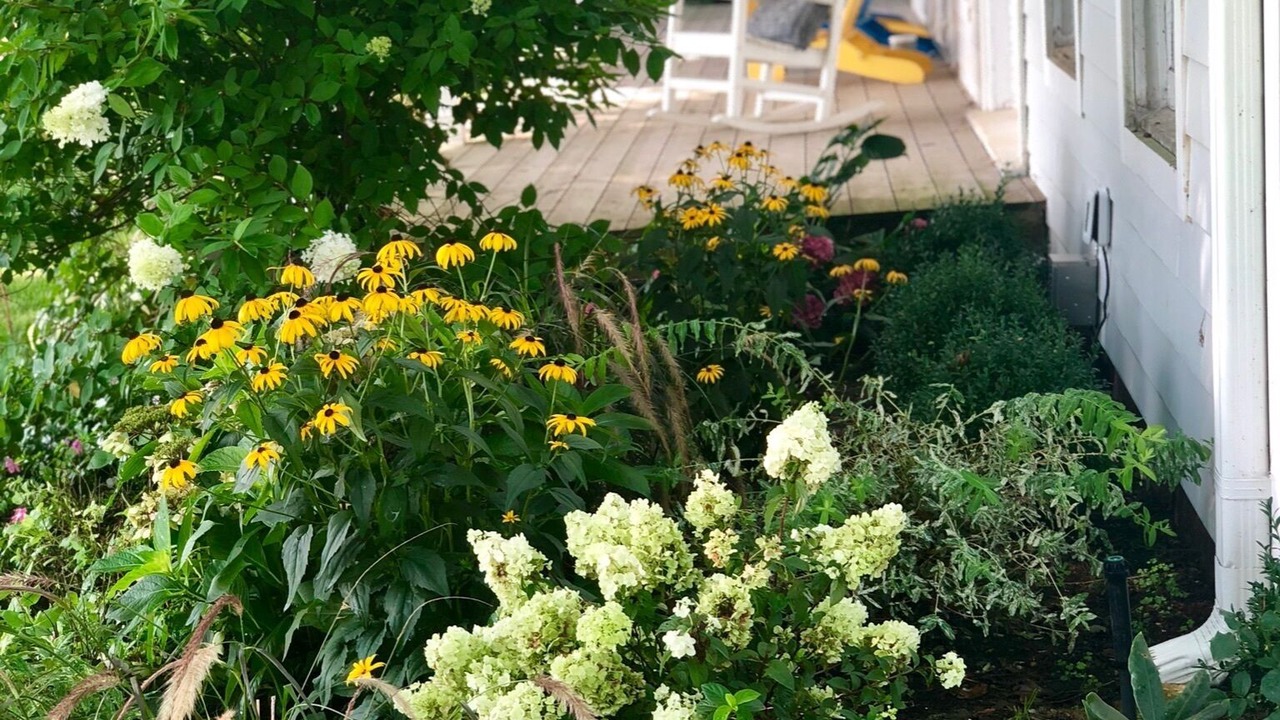 Photo of Outdoor in Cutchogue