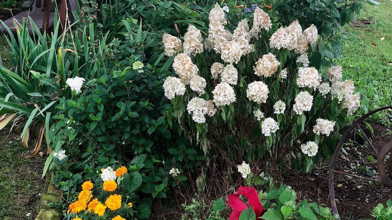 Photo of Outdoor in Cutchogue